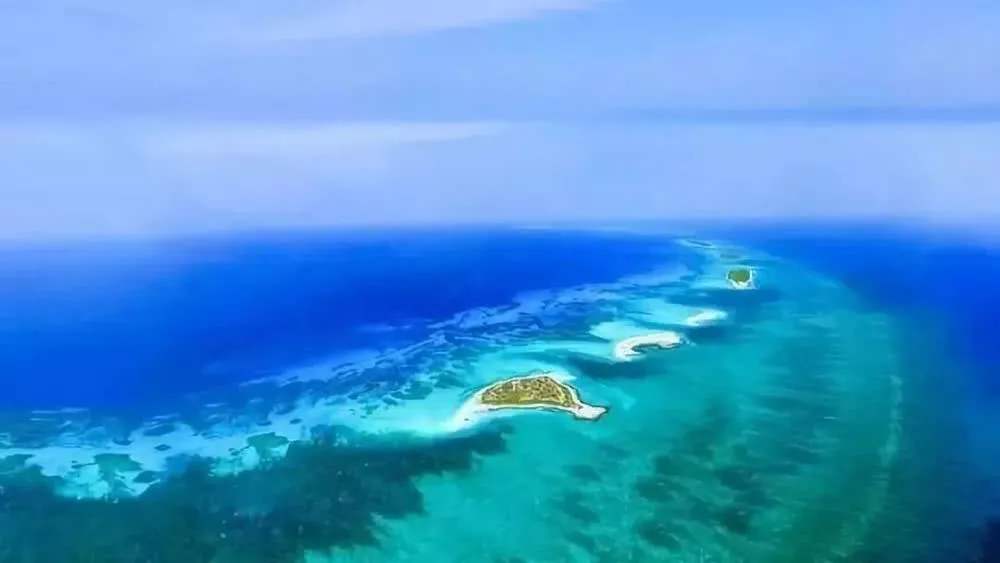 “海南自由港”震撼登場(chǎng)！40個(gè)亮點(diǎn)東方和利帶你一文看懂